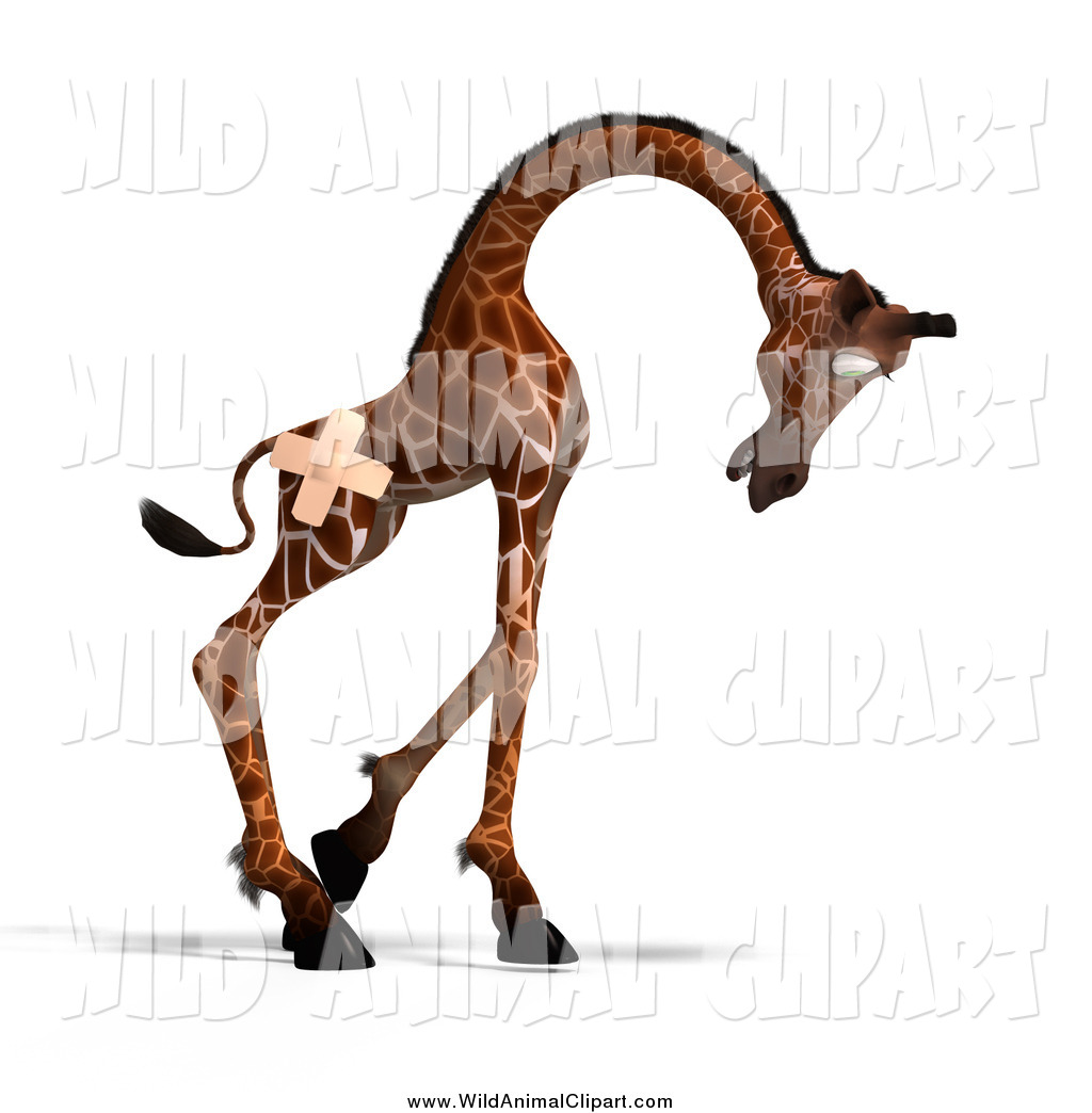 1024x1044 Giraffe Head Clip Art