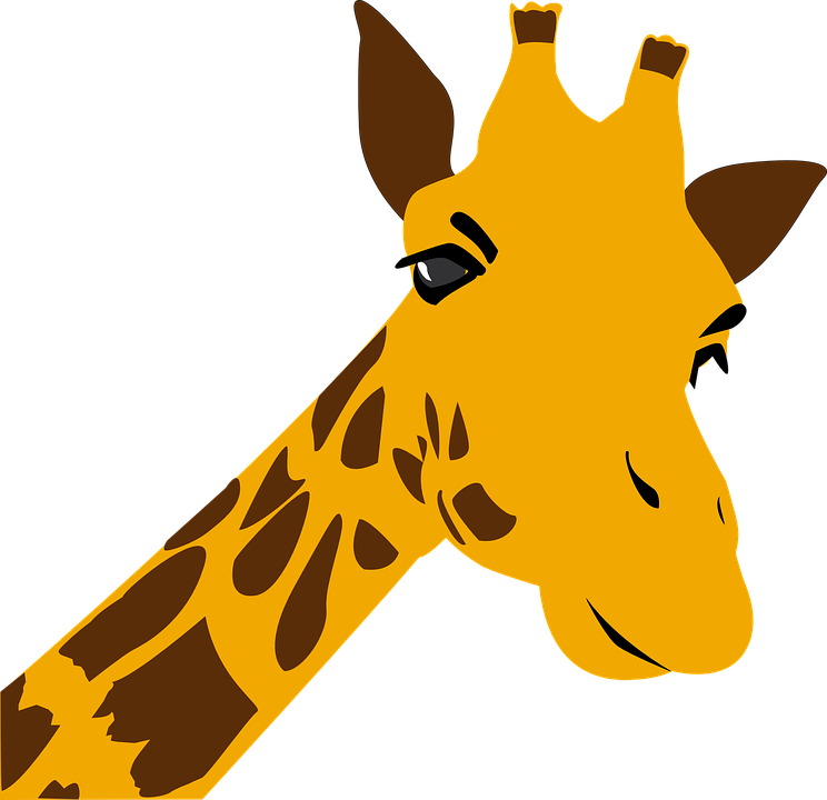 744x720 Giraffe Black And White Clip Art Images Free Download