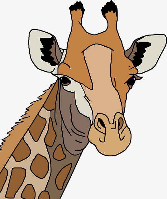536x640 Giraffe Avatar, Cartoon, Lovely, Hand Painted Png Image