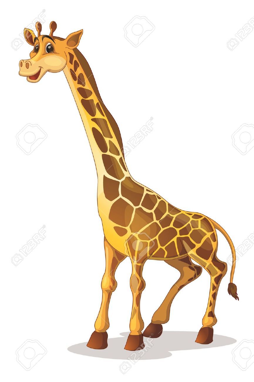 865x1300 Giraffe Stock Vector Illustration And Royalty Free Giraffe Clipart