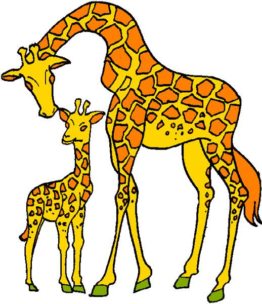 518x600 Image Of Giraffe Clipart