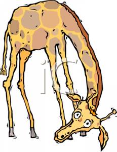231x300 Cartoon Giraffe With Its Head Bent Low