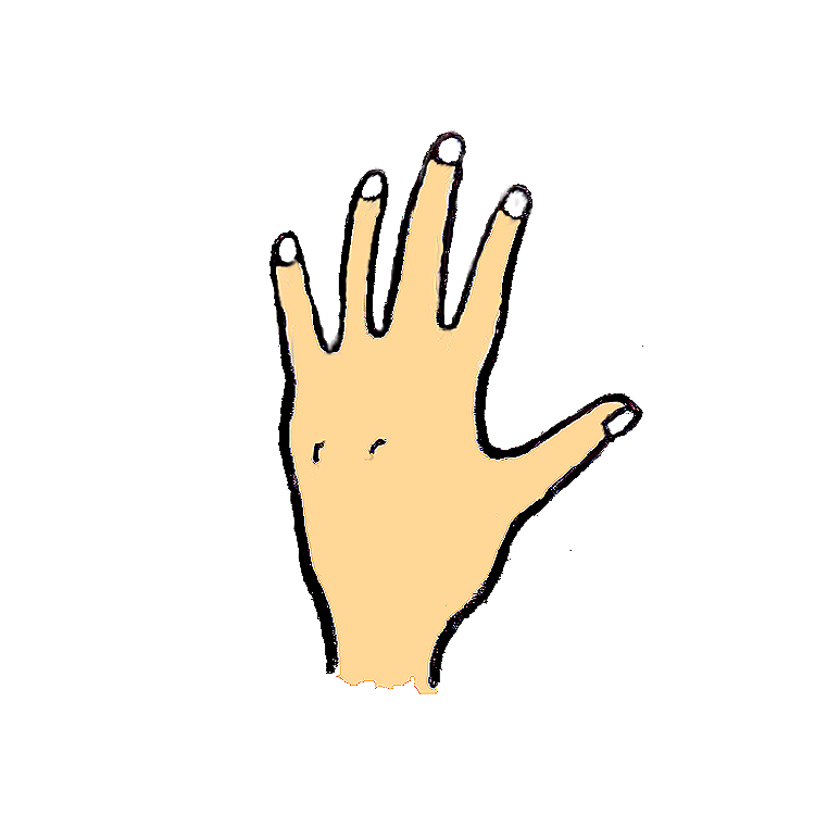 750x750 Body Parts Clipart