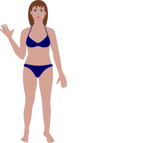 299x288 Female Human Body Clip Art