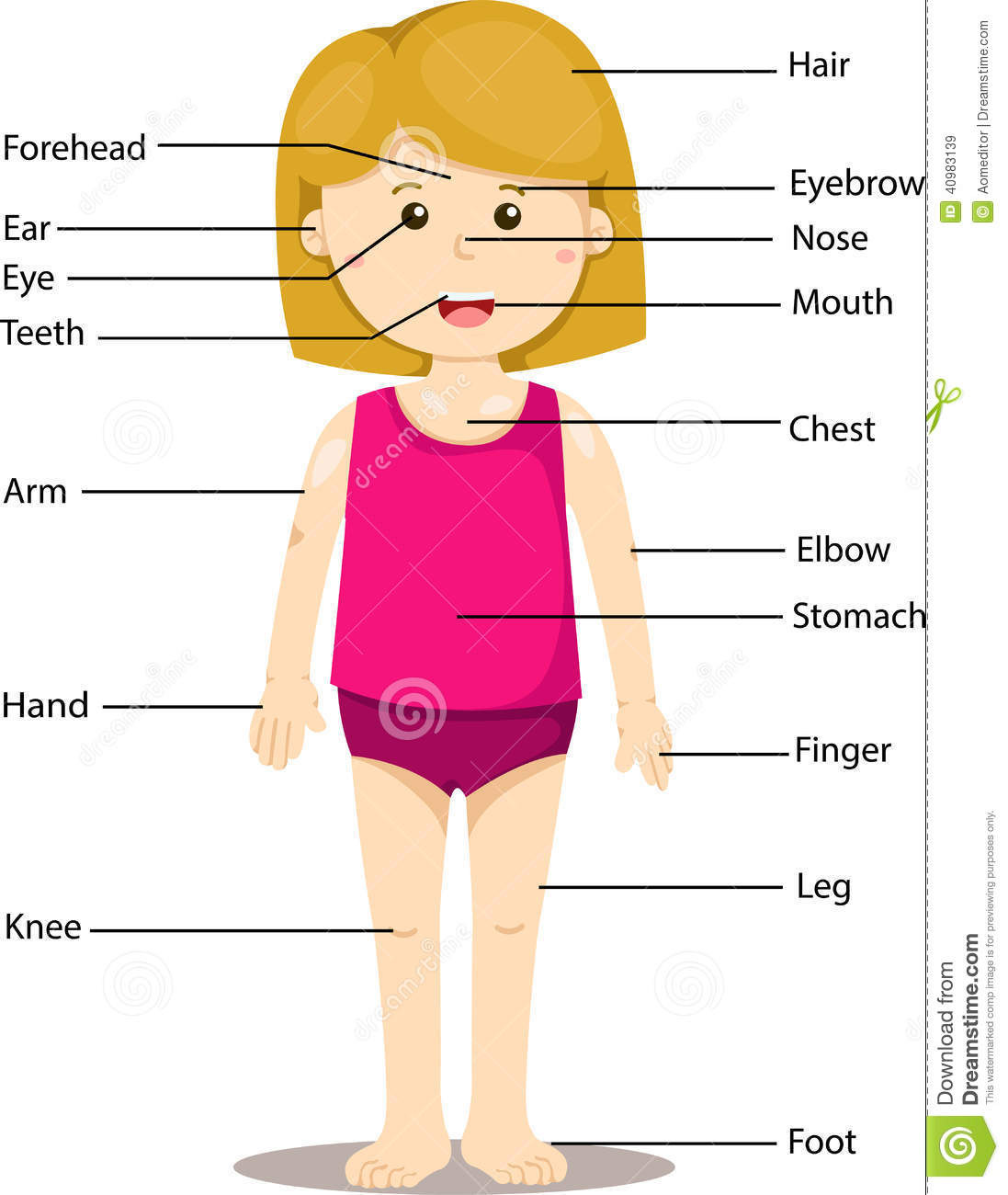 1097x1300 Collection Of Girl Body Clipart For Kids High Quality, Free