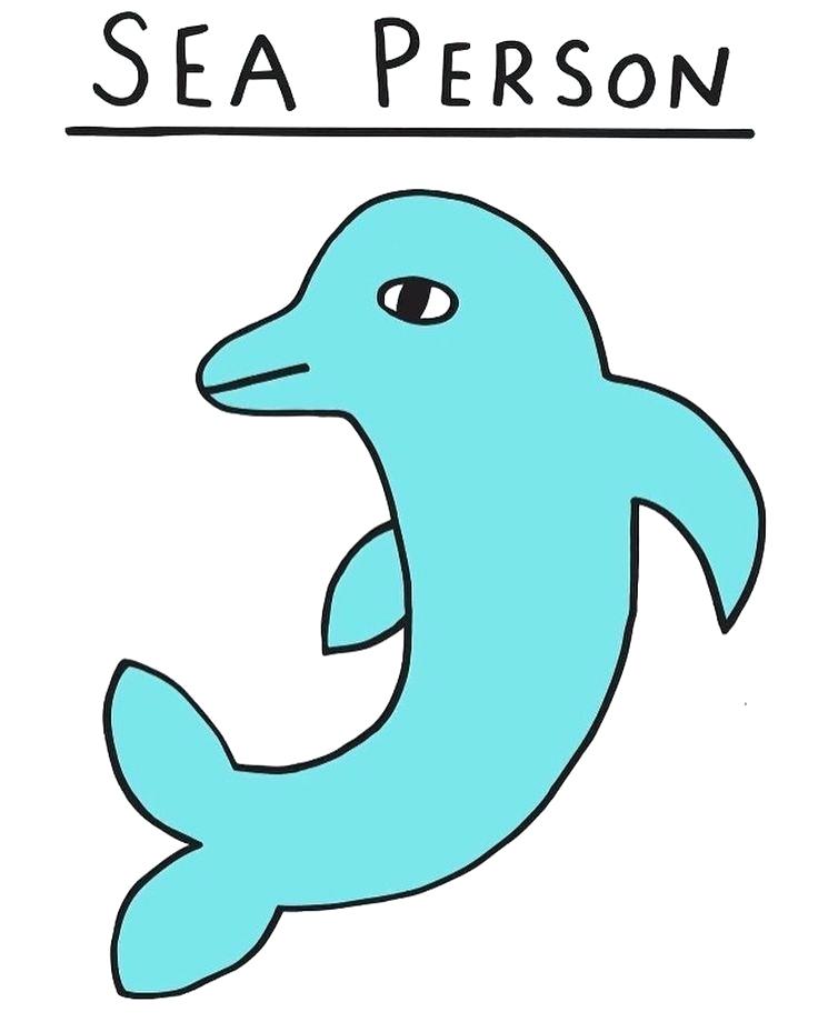 736x920 Free Dolphin Clip Art Luxury Free Dolphin Free Coloring Pages Free