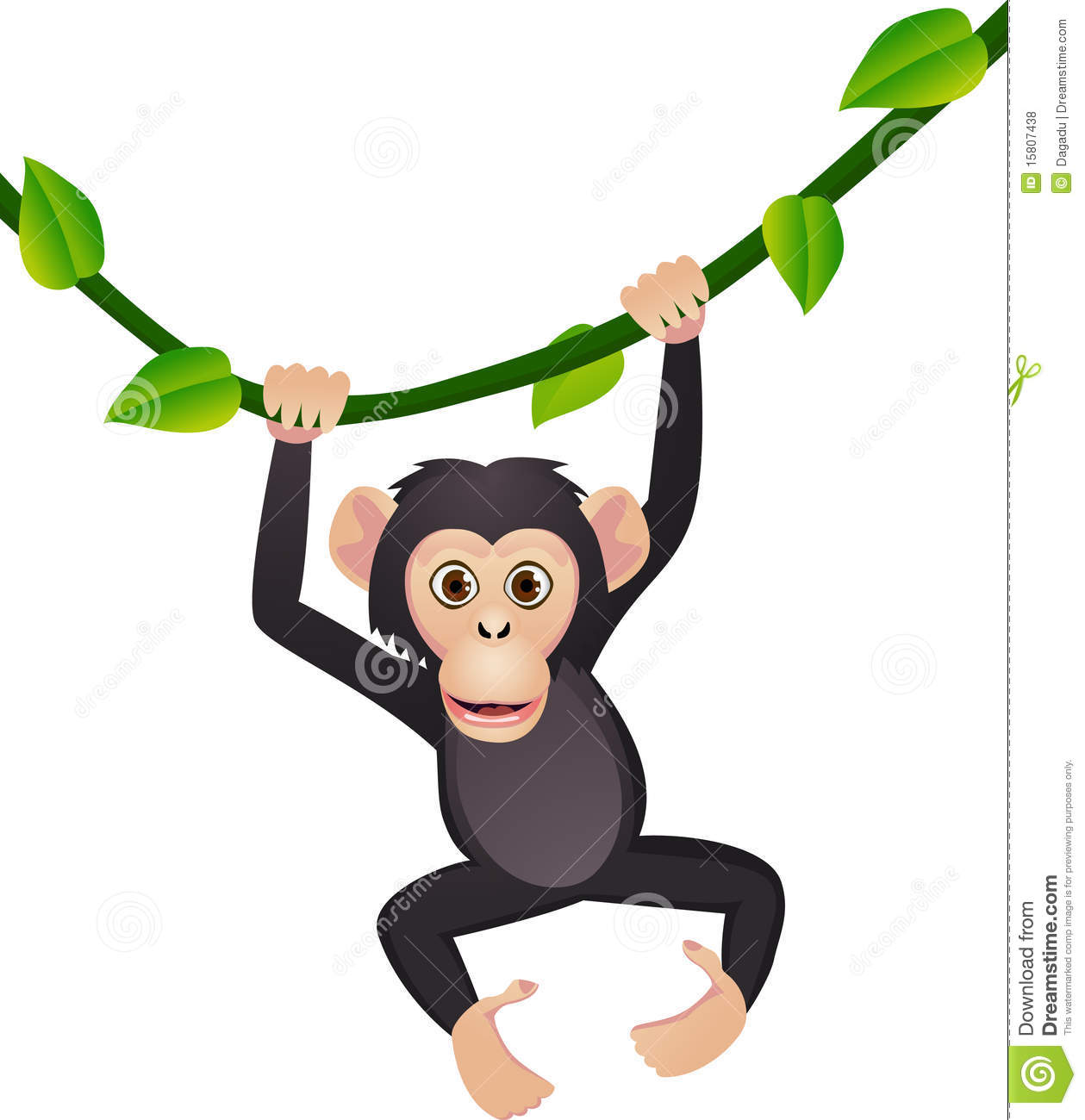 1259x1300 Chimpanze Clipart