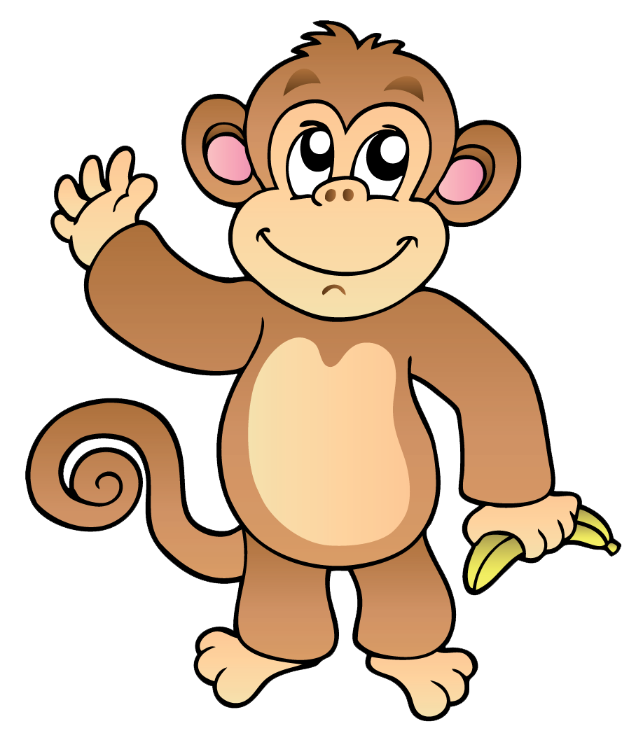 918x1047 Monkey Picture