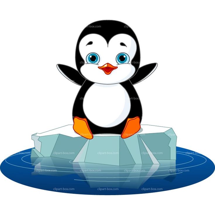 736x736 Glacier Clipart Penguin Cartoon