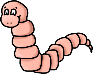 300x240 Worm Bug Clipart, Explore Pictures