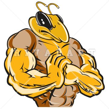 361x361 24 Best Bee Clip Art Images On Clip Art, Illustrators