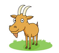 195x174 Search Results For Goat