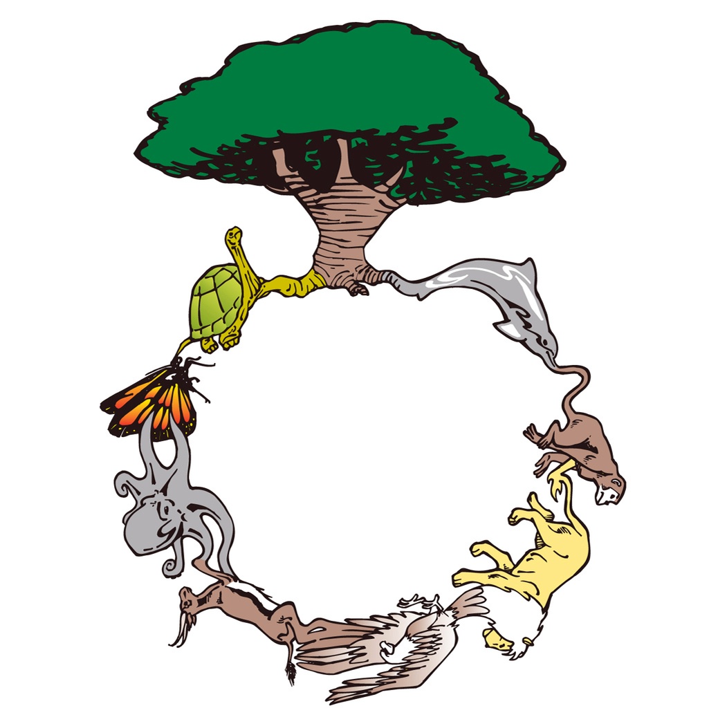 1051x1050 God's Creation Clipart