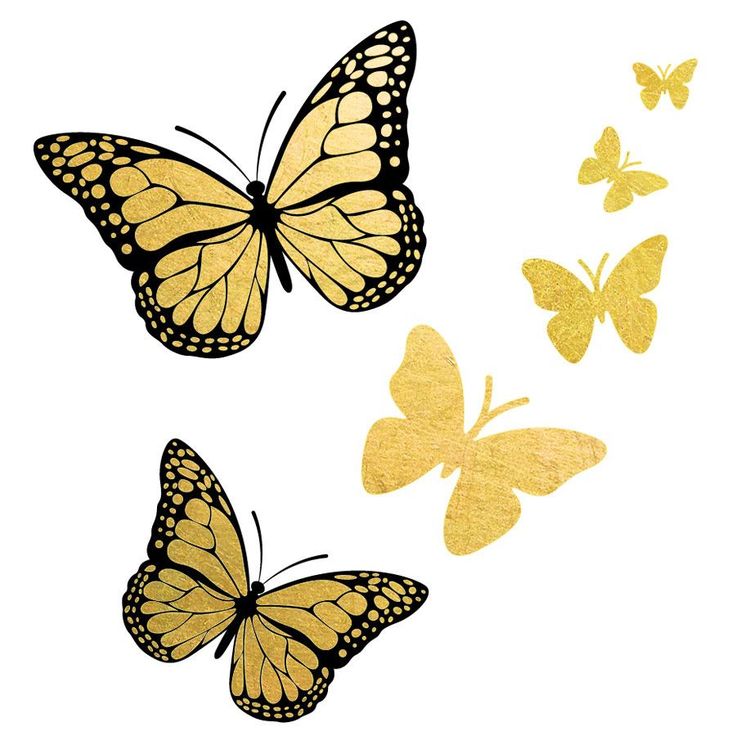 736x736 Inspiring Clipart Gold Butterfly Pencil And In Color Clip Art