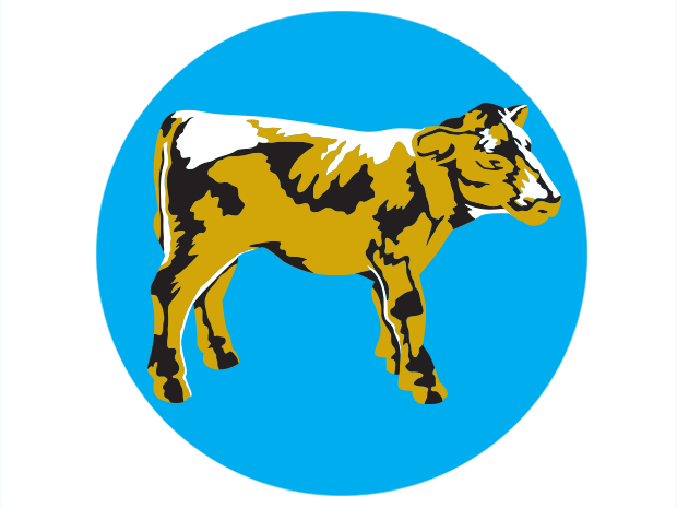 620x465 The Mystery Of The Golden Calf National Post