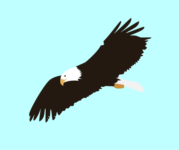 600x504 Soaring Eagle Clipart Clipart Panda