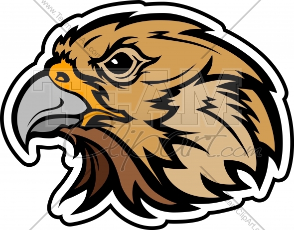 590x462 Falcon Clip Art