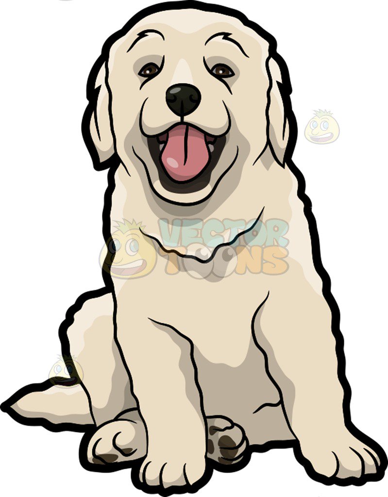 799x1024 Absolutely Smart Golden Retriever Clipart Royalty Free Clip Art
