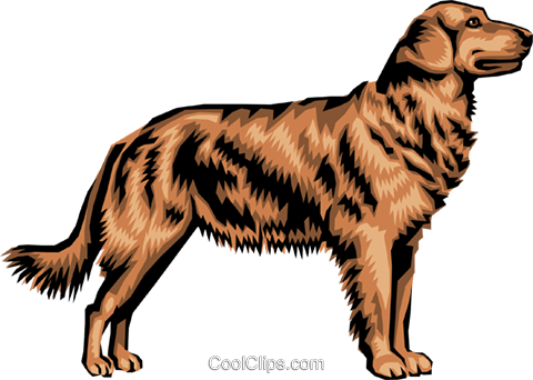 480x342 Golden Retriever Royalty Free Vector Clip Art Illustration