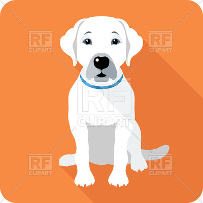 400x400 Labrador Retriever