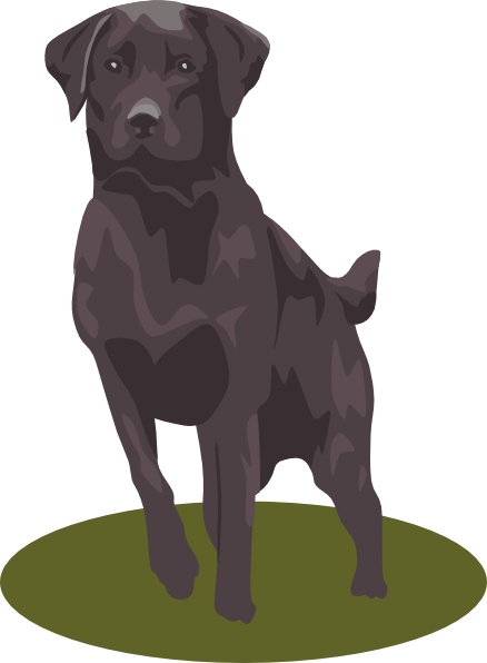 438x596 Lab Puppy Cliparts