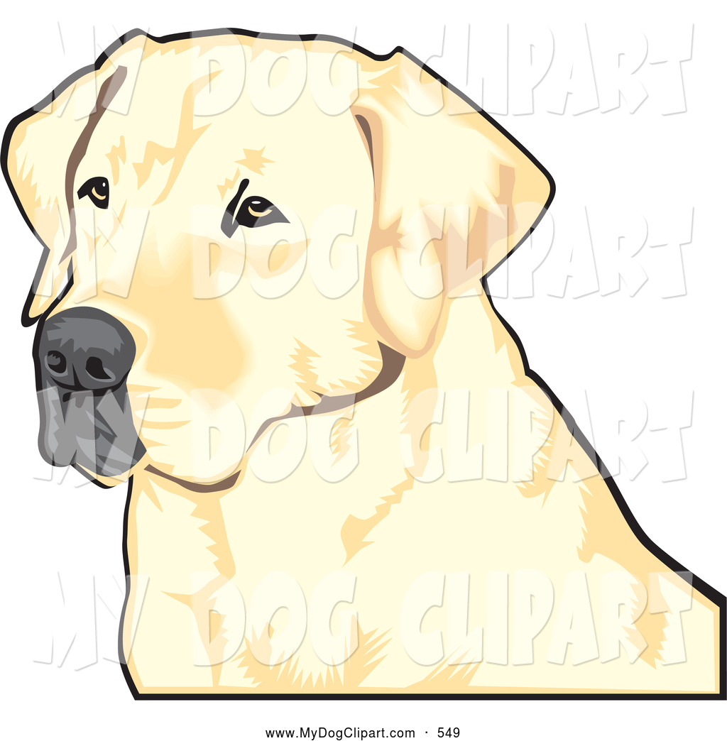 1024x1044 Royalty Free Retriever Stock Dog Designs