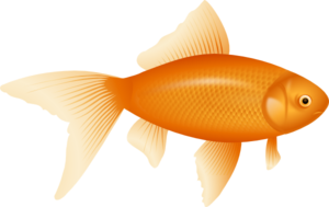 300x189 Goldfish Clip Art