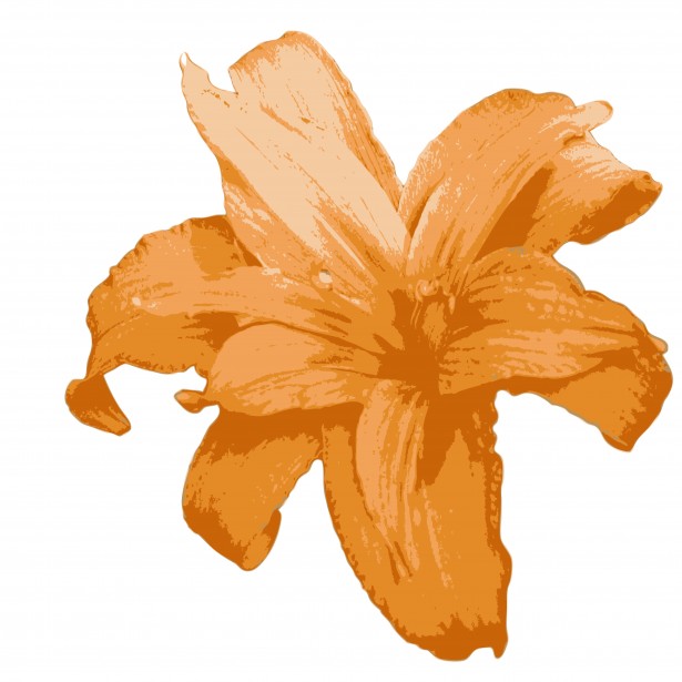 615x615 Free Lily Clipart Public Domain Flower Clip Art Images