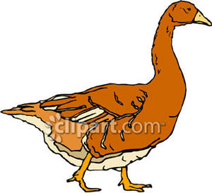 300x273 A Brown Duck Or Goose Clipart Panda