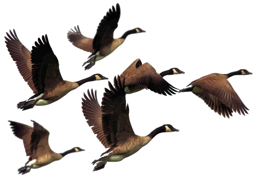 1000x693 Onlinelabels Clip Art