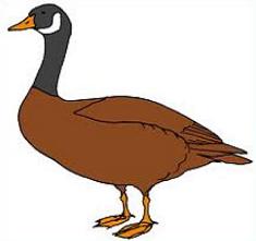 235x221 Stunning Idea Goose Clipart File 01 Svg Wikimedia Commons