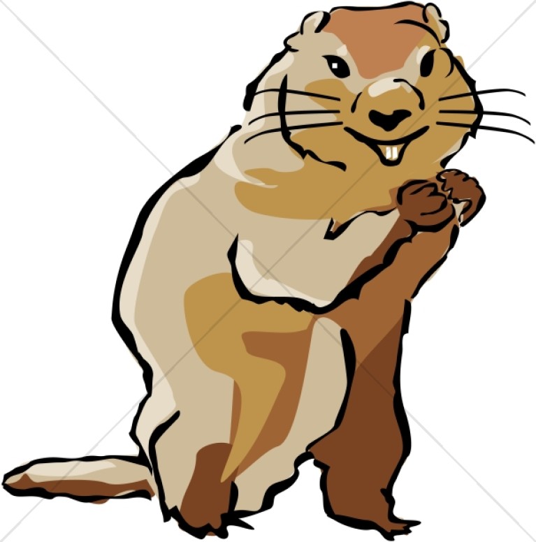 767x776 Groundhog In Color Wildlife Clipart