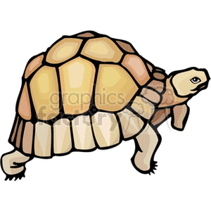 300x300 Royalty Free Full Body Profile Of Box Turtle 129932 Vector Clip