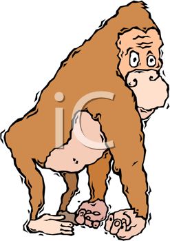 247x350 Picture Of A Cartoon Ape Standing In A Vector Clip Art