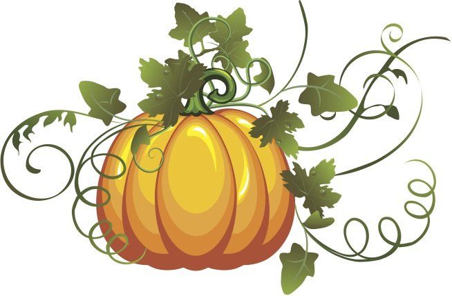 654x429 Pumpkin Vine Images Paintings Of Pumpkins And Vines