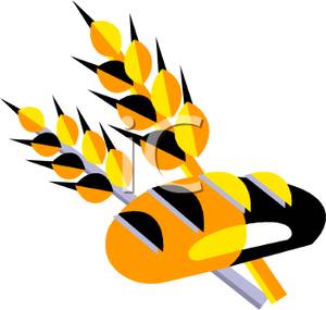 300x285 Clip Art Image Wheat Grain And Bread