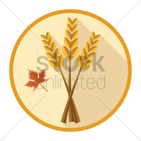 600x600 Wheat Grains Vector Image