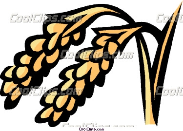 375x269 Rice Vector Clip Art Clipart Panda