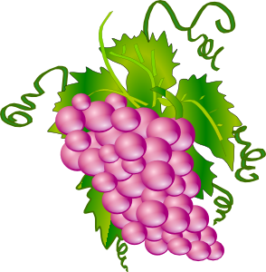 294x300 Grapes Clip Art