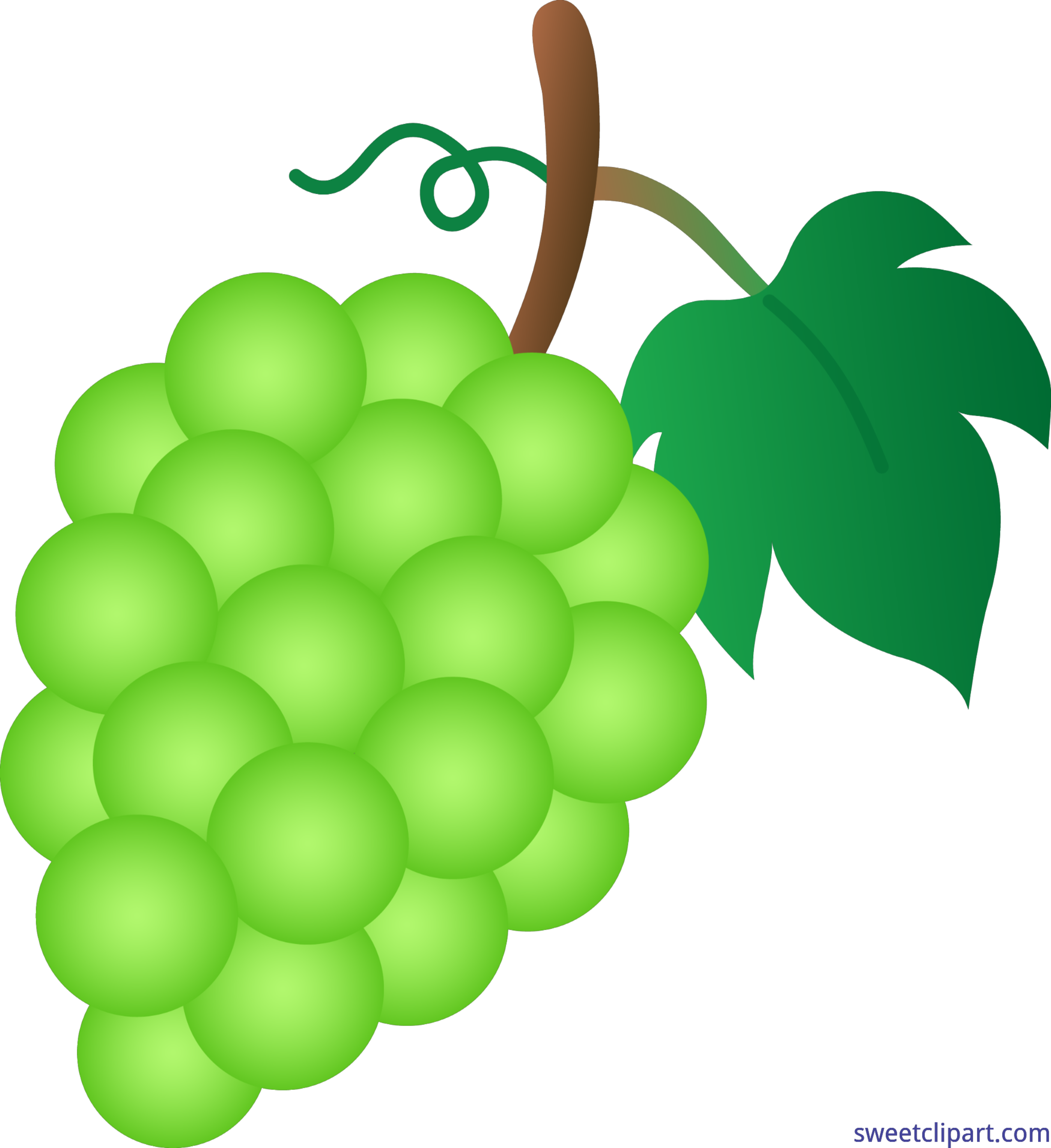 4801x5243 Green Grapes Clip Art