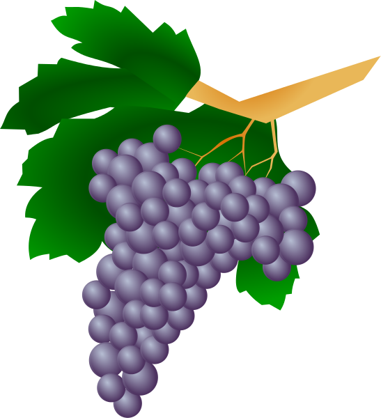 547x600 More Grapes Clip Art Download
