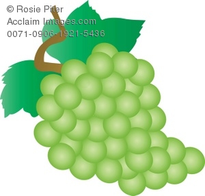 300x286 Wonderful Ideas Grape Clip Art Grapes Clipart Panda Free Images