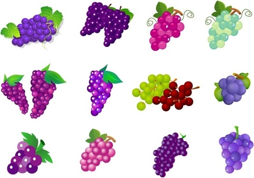 525x368 Grape Vine Border Free Vector Download (6,311 Free Vector)