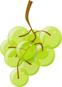 214x300 618 Wine Grapes Clip Art Free Public Domain Vectors