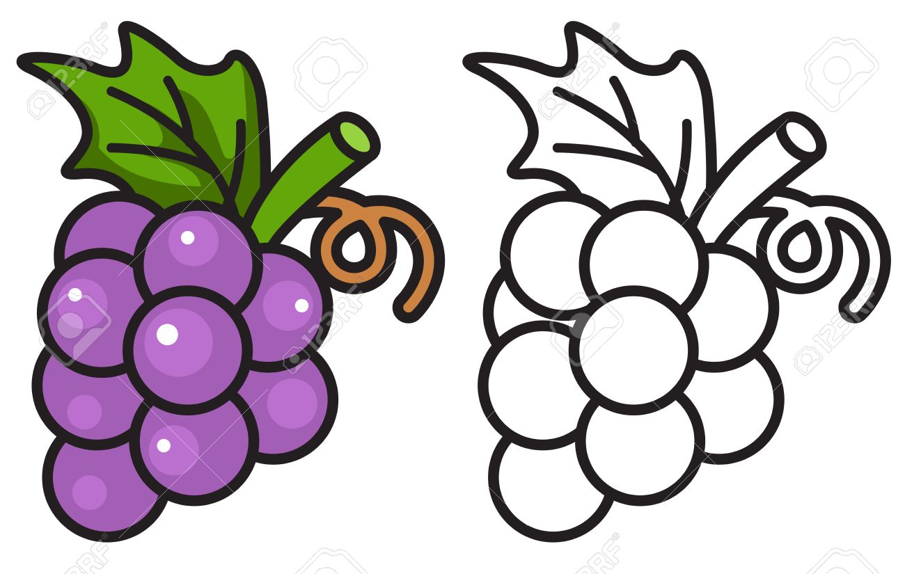 1300x825 Grapes Clipart Coloring