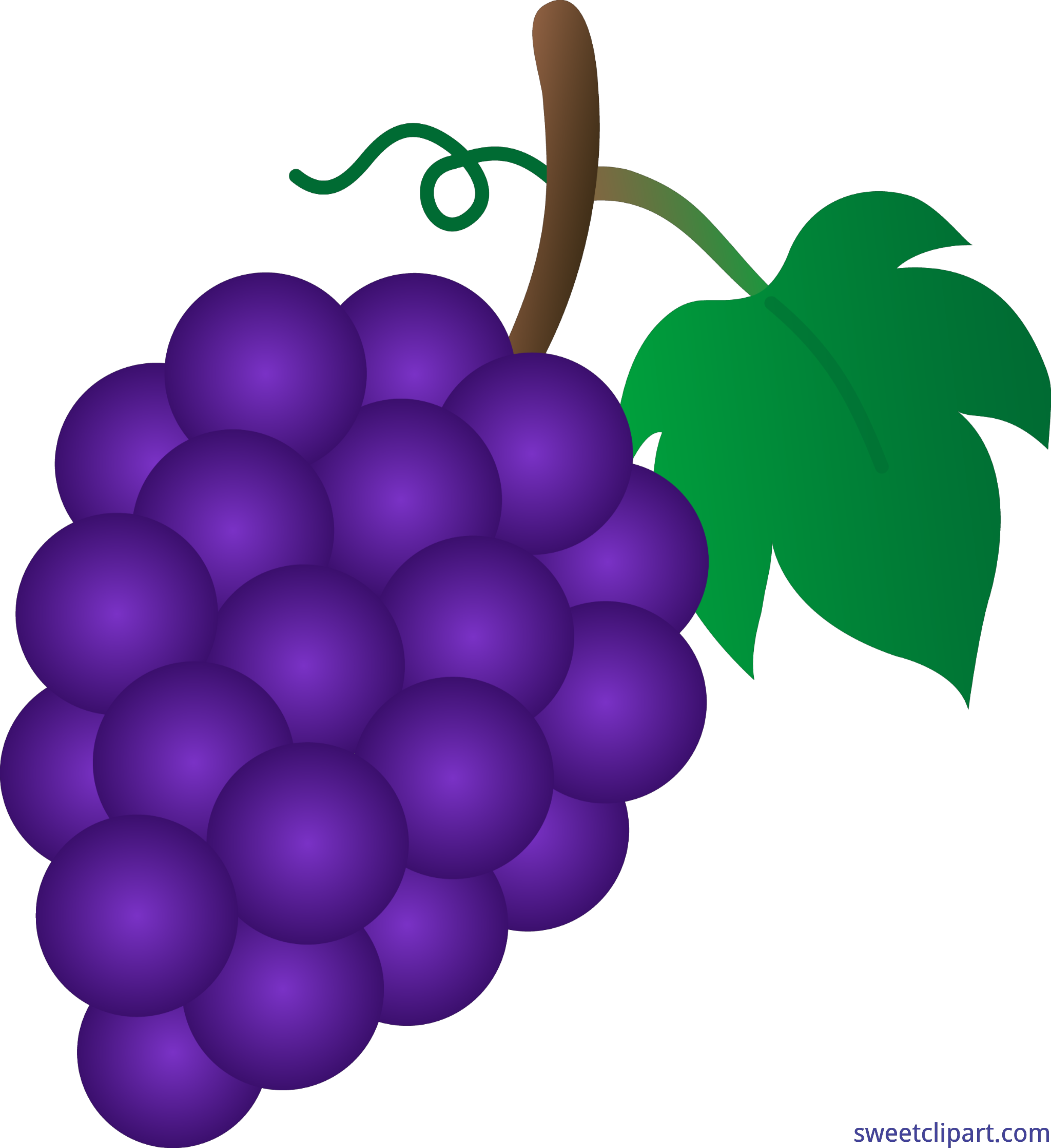 4801x5243 Grapes Purple Clip Art