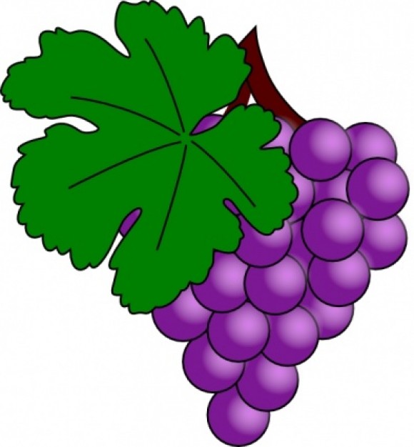 580x626 Grapes Vine Clipart Clipart Panda