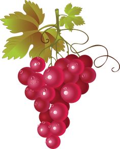 236x294 Red Grapes Cliparts Free Download Clip Art