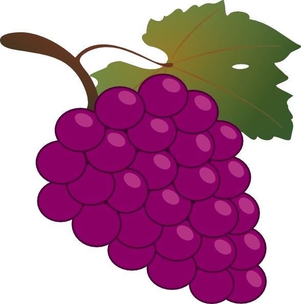 588x595 Grapes Clipart Grape Clip Art Free Vector In Open Office Drawing