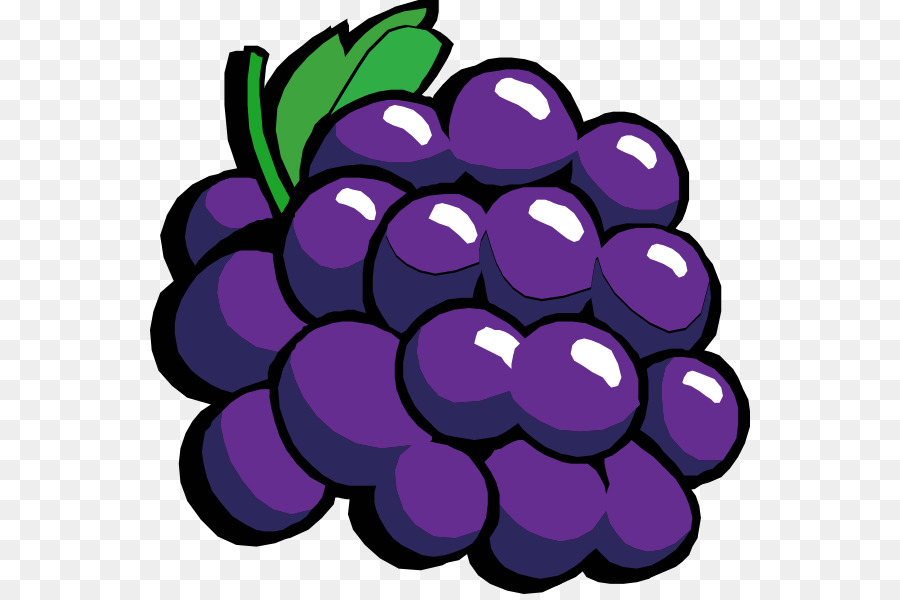 900x600 Common Grape Vine Wine Clip Art